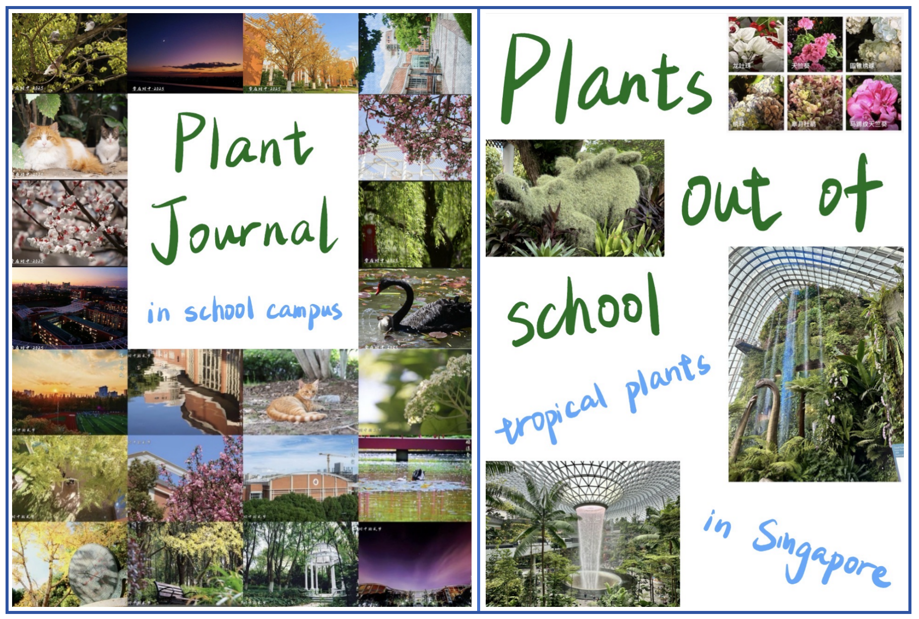 Plant Diary